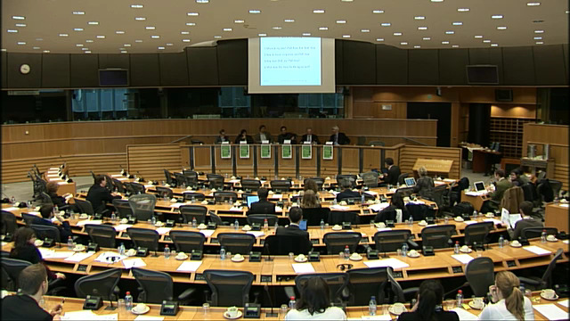 Hearing in the Petra Kelly Room, European Parliament, Brussels